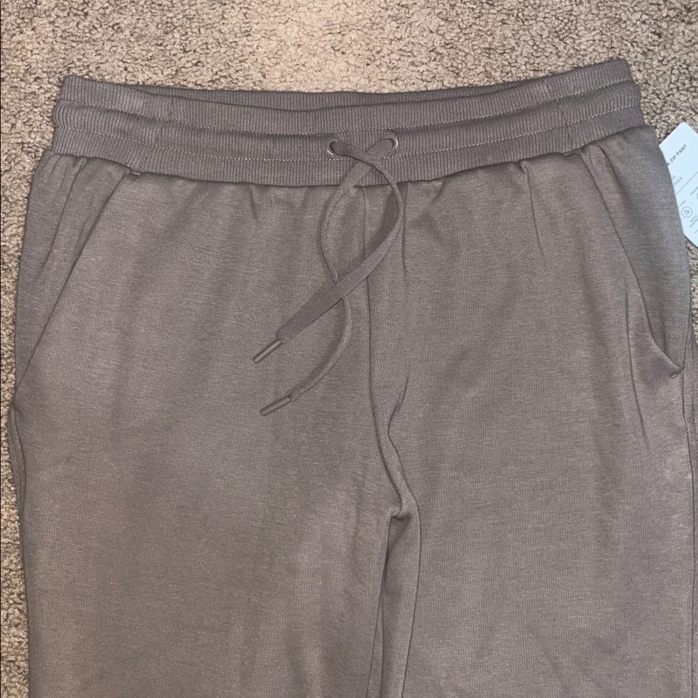 Athleta Cozy Karma‎ Zip Pants Plush Interior Pyrite Medium - Picture 5 of 9